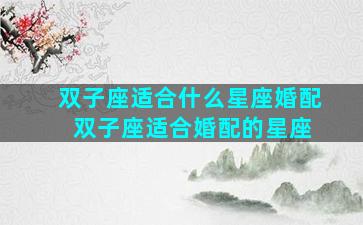双子座适合什么星座婚配 双子座适合婚配的星座
